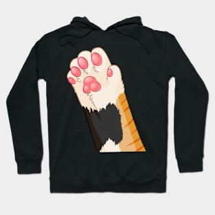 Reaching Calico Kitty Hoodie